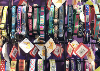 Dog Collar Selection Charlotte NC near uptown in Southend